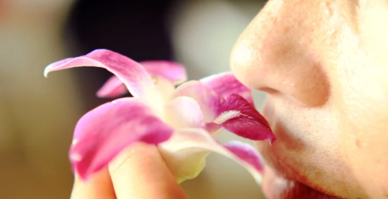 Digital transformation of smell testing